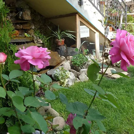 Anhea 2* Велико-Тырново