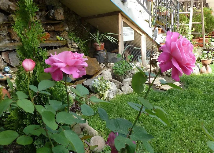 Anhea 2* Veliko Tarnovo